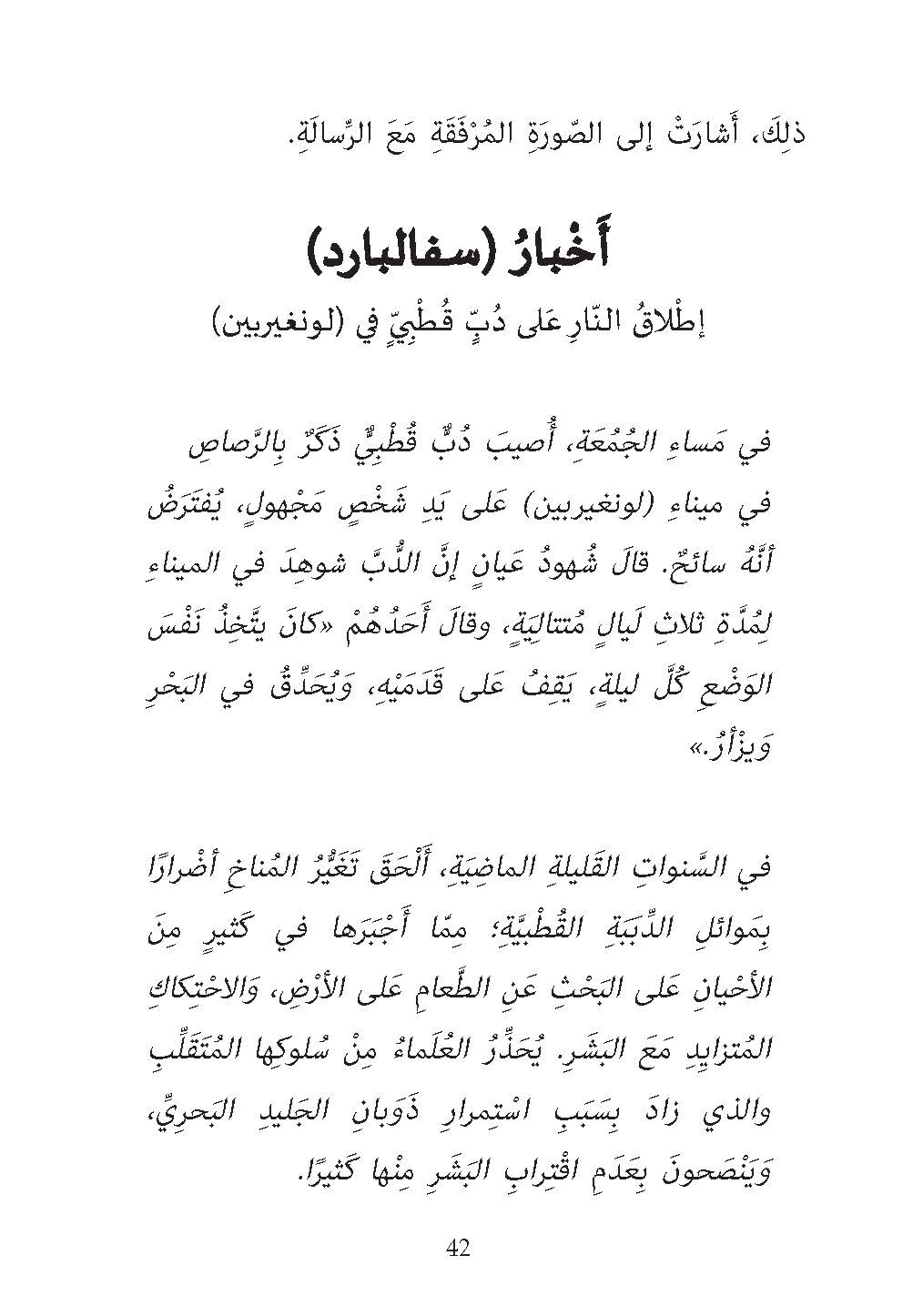 العثور على دب