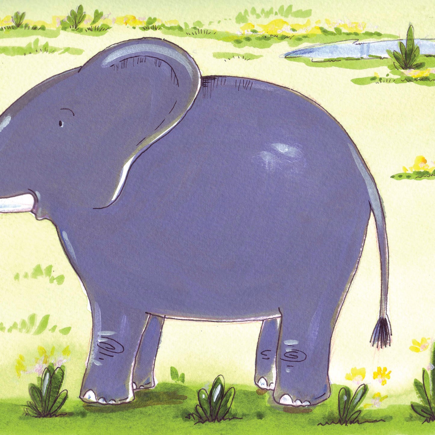 راشد في حديقة الحيوانات