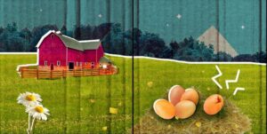 بيضة - كتاب تفاعلي