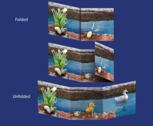 بيضة - كتاب تفاعلي