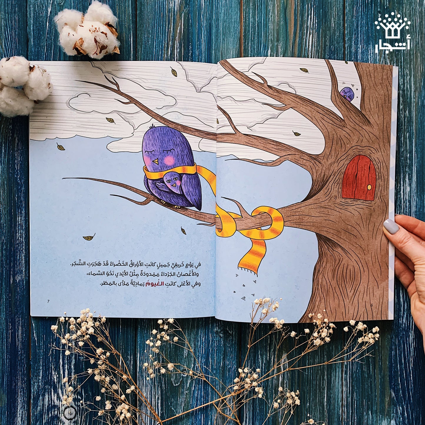 بيضاء الغمامة وشجرة القطن