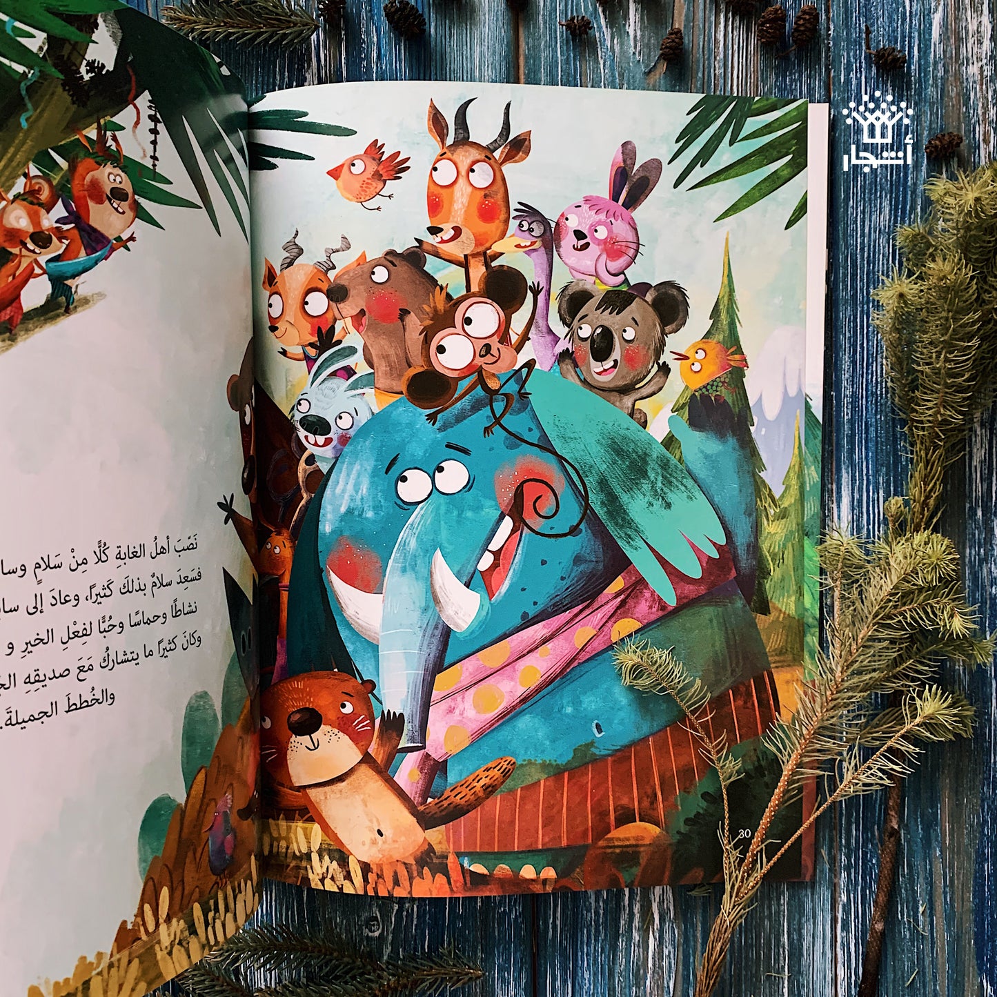 من ينقذ الغابة؟