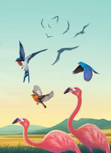 Load image into Gallery viewer, هدهد سليمان