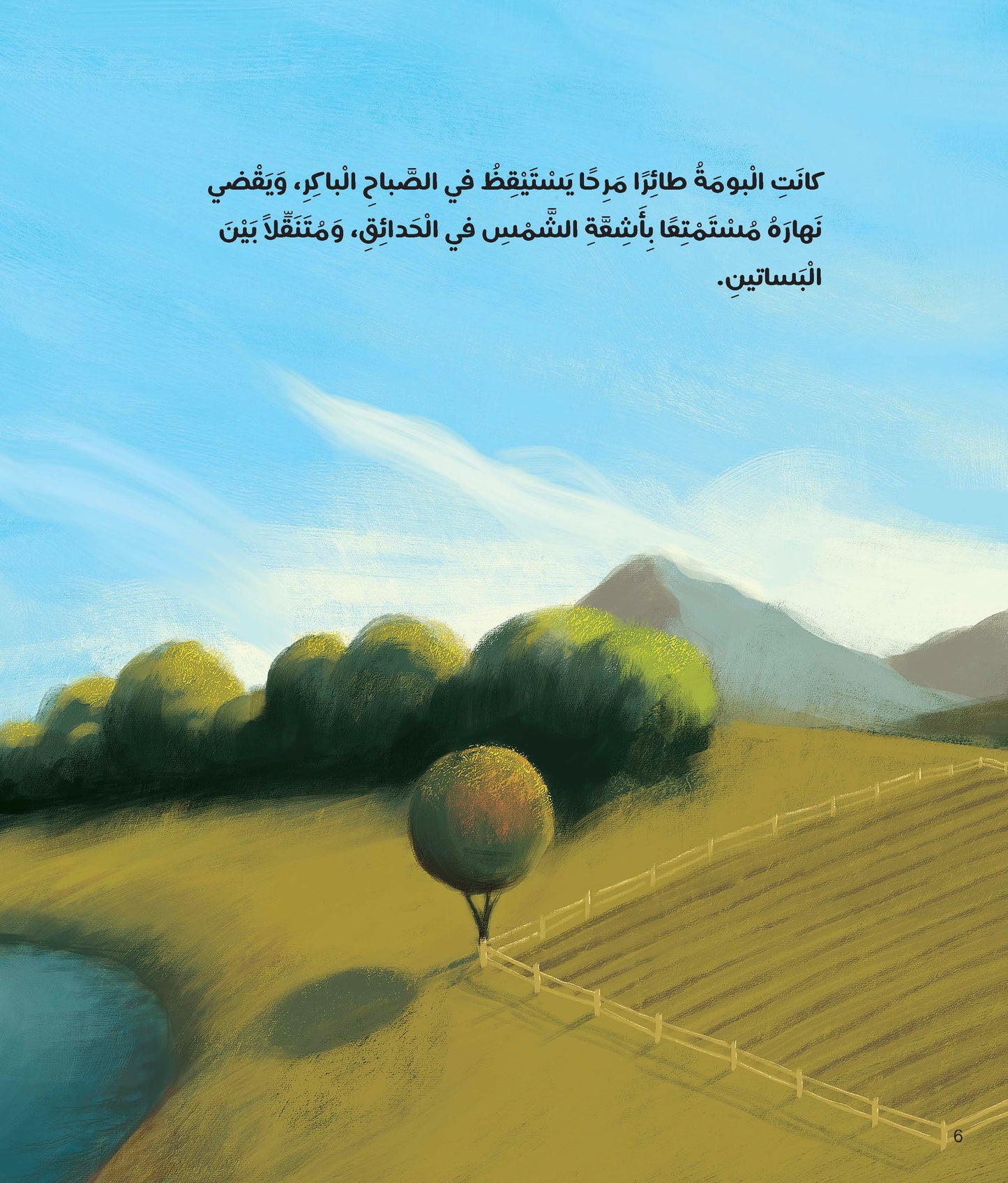 كيف فقدت البومة منقارها