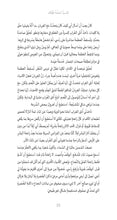 Load image into Gallery viewer, ذئب اسمه طواف