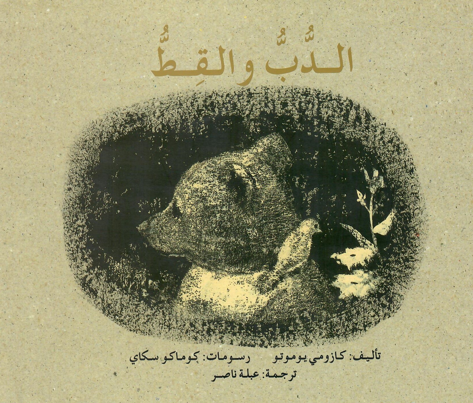 الدب والقط